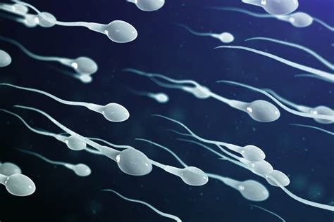 Pros And Cons Of Sperm Retention Benefits Of Not Ejaculating