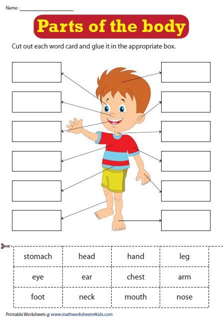 Body Parts Worksheets Body Parts Preschool Body Parts Preschool