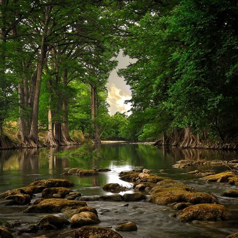 画像をダウンロード River Forest Landscapes 244318 River Forest Landscape