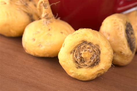 Maca Root Uses And Health Benefits Of For Women 2022 Research