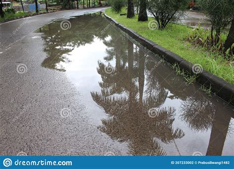 Puddle On The Road Stock Photo Image Of Reflectio Rainwater 207233002