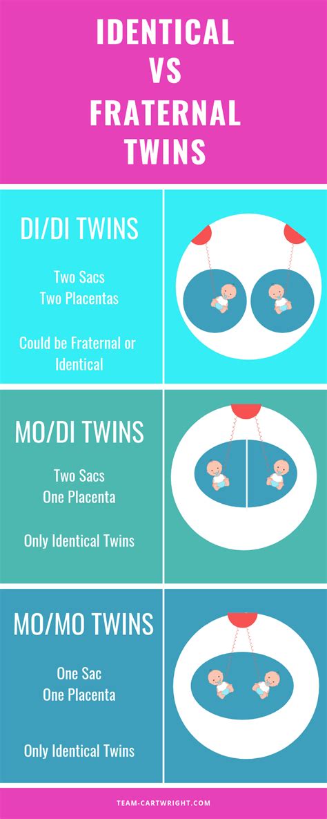 identical vs fraternal twins what makes twin types different