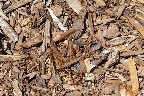 Cedar Mulch In The Garden Uses Pros And Cons And Problems