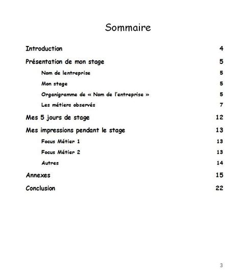 Modele Rapport De Stage Sommaire