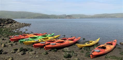 Tomales Point Exploration Blue Waters Kayaking Point Reyes California