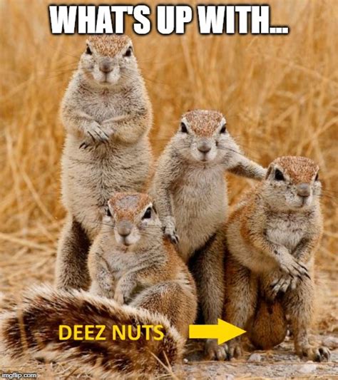 Deez Nuts Meme Know Your Meme Simplybe