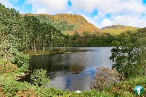 Merrick Galloway Forest Park And Other Great Walking Routes In Dumfries