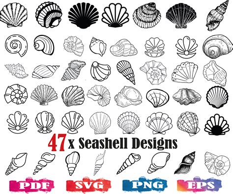 Seashell Svg Seashells Png Seashell Silhouette Sea Shell Etsy