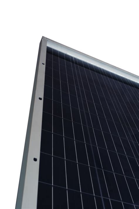 Jinkosolar Launches New Swan Bifacial Module With Dupont Clear