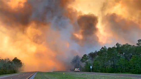 Florida Wildfires Hundreds Evacuated As Firefighters Battle Fast