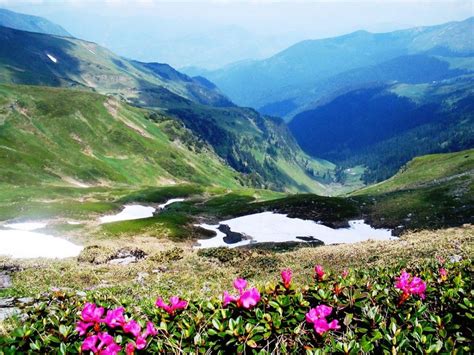 Carpathians National Parks Unesco World Heritage Romania