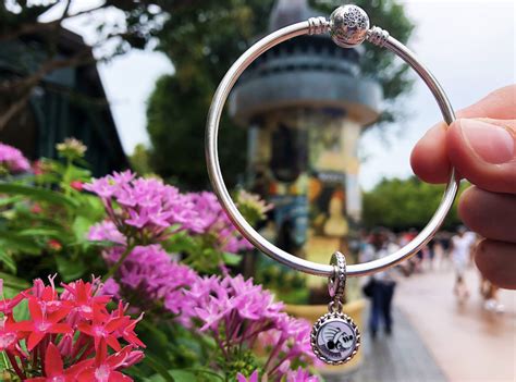 Food and beverage offerings require a separate purchase. New Disney Pandora Charms Coming Soon, Including Epcot ...