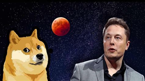 Elon Muskın Yeni Dogecoin Doge Paylaşımı Yine Ses Getirdi › Cointürk