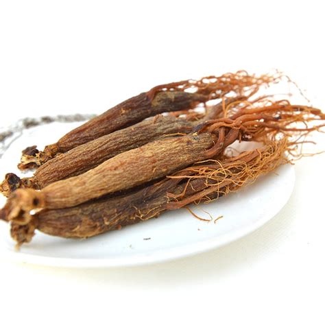 Panax Ginseng Root Dietary Supplement 6 Year Old Red Ginseng Etsy