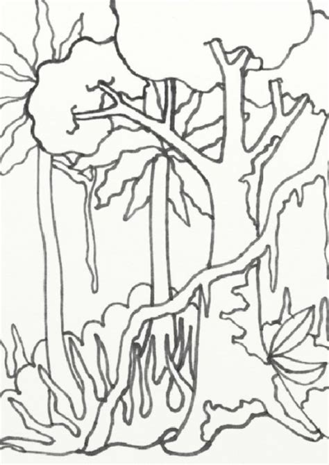 Rainforest Trees Coloring Pages Coloring Pages