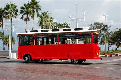 Party Bus And Trolley Pricing Cozumel Party Bus Shore Excursions
