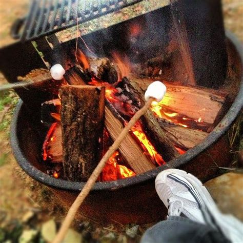 Roasting Marshmallows Campfire Camping Img1687