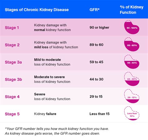 Kidney Function Levels Chart For Ckd
