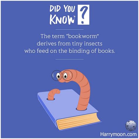 The Term Bookworm Derives From Tiny Insects Who Feed On The Binding