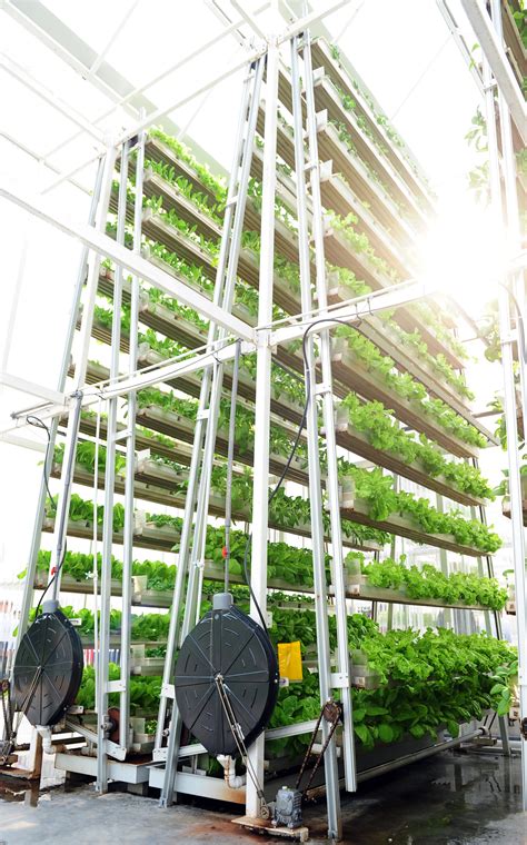 Sky High Vegetables Vertical Farming Sprouts In Singapore Ncpr News