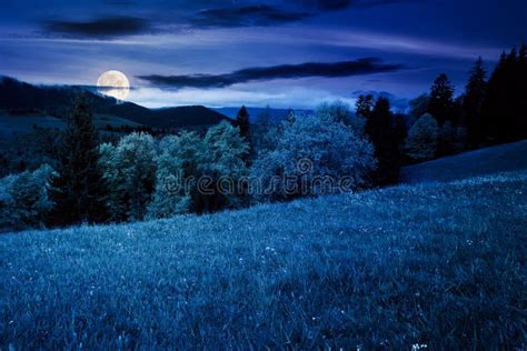 Beautiful Nature Scenery In Spring At Night Stock Photo Image Of