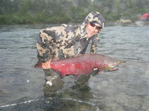 Welcome to Salmon-less Idaho - Idaho Wilderness Company