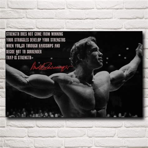 Bodybuilder Arnold Schwarzenegger Art Silk Posters Prints Painting Home