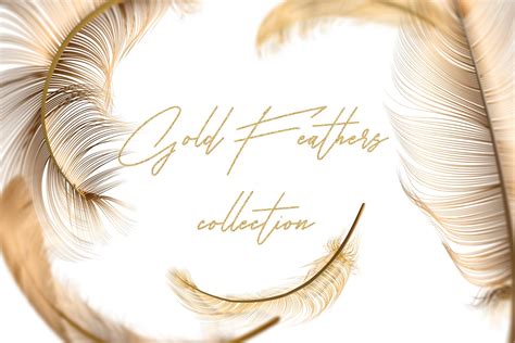 Gold Feathers Collection Eps Png Graphic Objects Creative Market