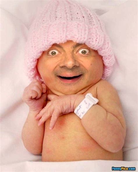 The way funny animal pictures funny animals funny photoshop great pic disney beauty and the beast. Pin by FunnyPica.com on Funny Pictures | Pinterest