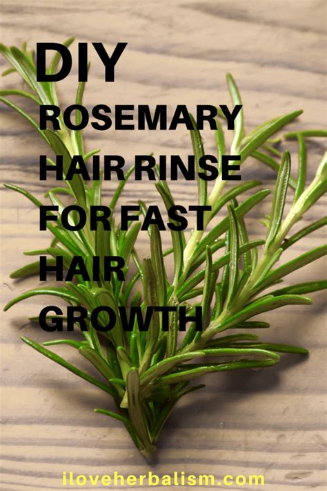 how to make a rosemary hair rinse for fast hair growth hair rinse hair growth faster hair