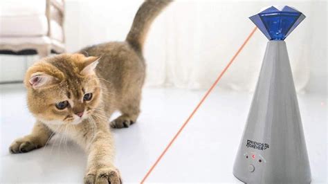 Cat Laser Toys The 12 Best Cat Laser Toys For Fun Exercise And Safety