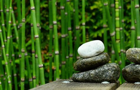 Stones Bamboo Decoration Free Photo On Pixabay Pixabay