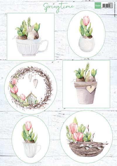 Find over 100+ of the best free tulip images. Marianne Design, knipvel, tulips & willow cats - De ...