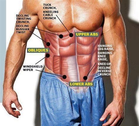 How To Get Those Chiseled Abs HubPages