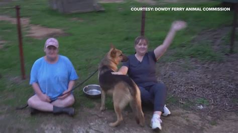 Abandoned dog rescued by residents, Dallas Animal Services | wfaa.com