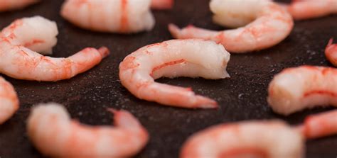 The best cold shrimp recipes on yummly | sheet pan popcorn shrimp, snake alley noodles, shrimp and sliced green onions, chopped ham, shrimp, green onions, cooked rice and 8 more. Cold Water Shrimp - The Quinlan Advantage