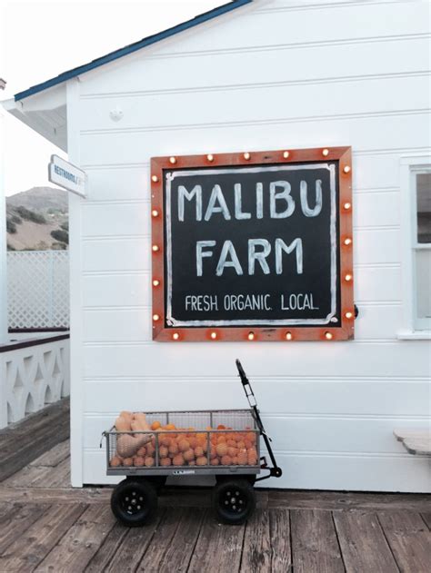 Restaurant Review Malibu Farm Pier Cafe Sugarplumfairyblog