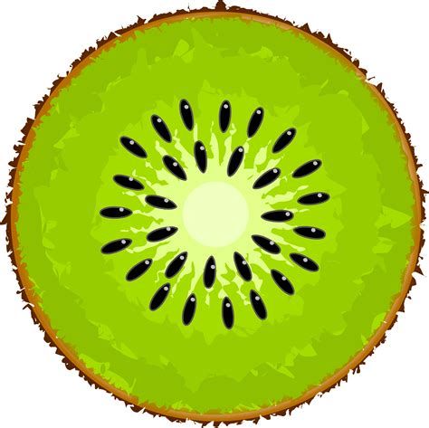 Kiwi Slice Png Transparent Kiwi Slicepng Images Pluspng