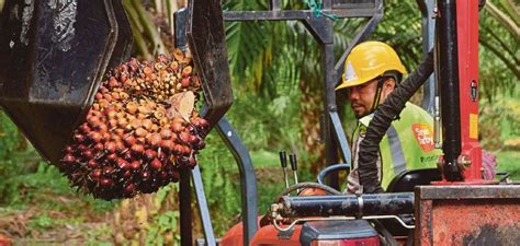 Stock analysis for sime darby bhd (sime:bursa malays) including stock price, stock chart, company news, key statistics, fundamentals and company profile. NBPOL stake sale: Deal may hike cash level by RM2.9b | New ...