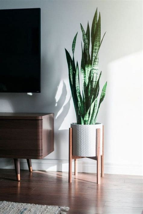 33 Beauty Indoor Plants Decor Ideas For Your Home And Apartment