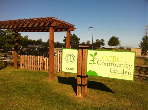 CCBC Dundalk Community Garden