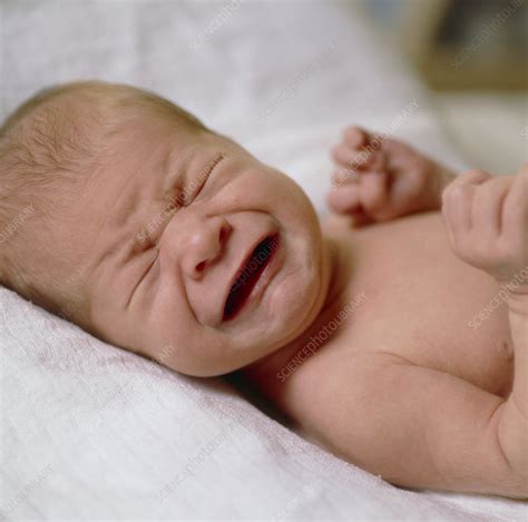 Crying Baby Stock Image M8302094 Science Photo Library