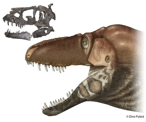 Paleontologists Uncover Complete Tyrannosaur In Montana Paleontology