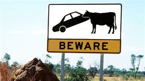 10 Weird Road Signs That You Wont Believe Exist Funny Road Signs