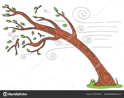 Image Windy Day Tree Bending Broken Branches Cartoon Stock Vector By