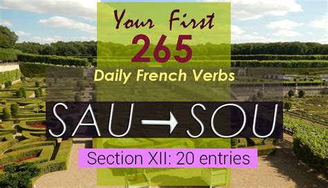 265 Daily French Verbs Section 12 Sau Sou Frenchtastic People