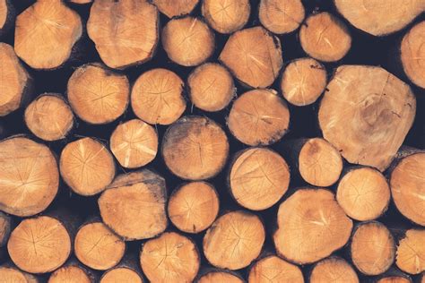 Wooden Logs Pictures Download Free Images On Unsplash