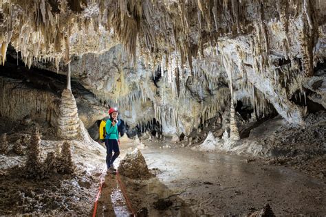 Explore Outdoor Activities At Carlsbad Caverns National Park In New Mexico