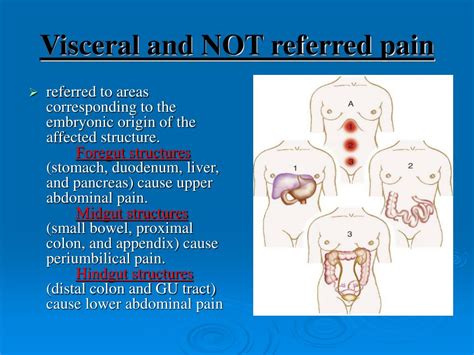Ppt Abdominal Pain Powerpoint Presentation Free Download Id262923