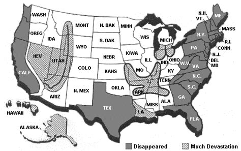 Nita Johnson’s Prophetic 1989 MAP Vision Of The Coming Disasters To The